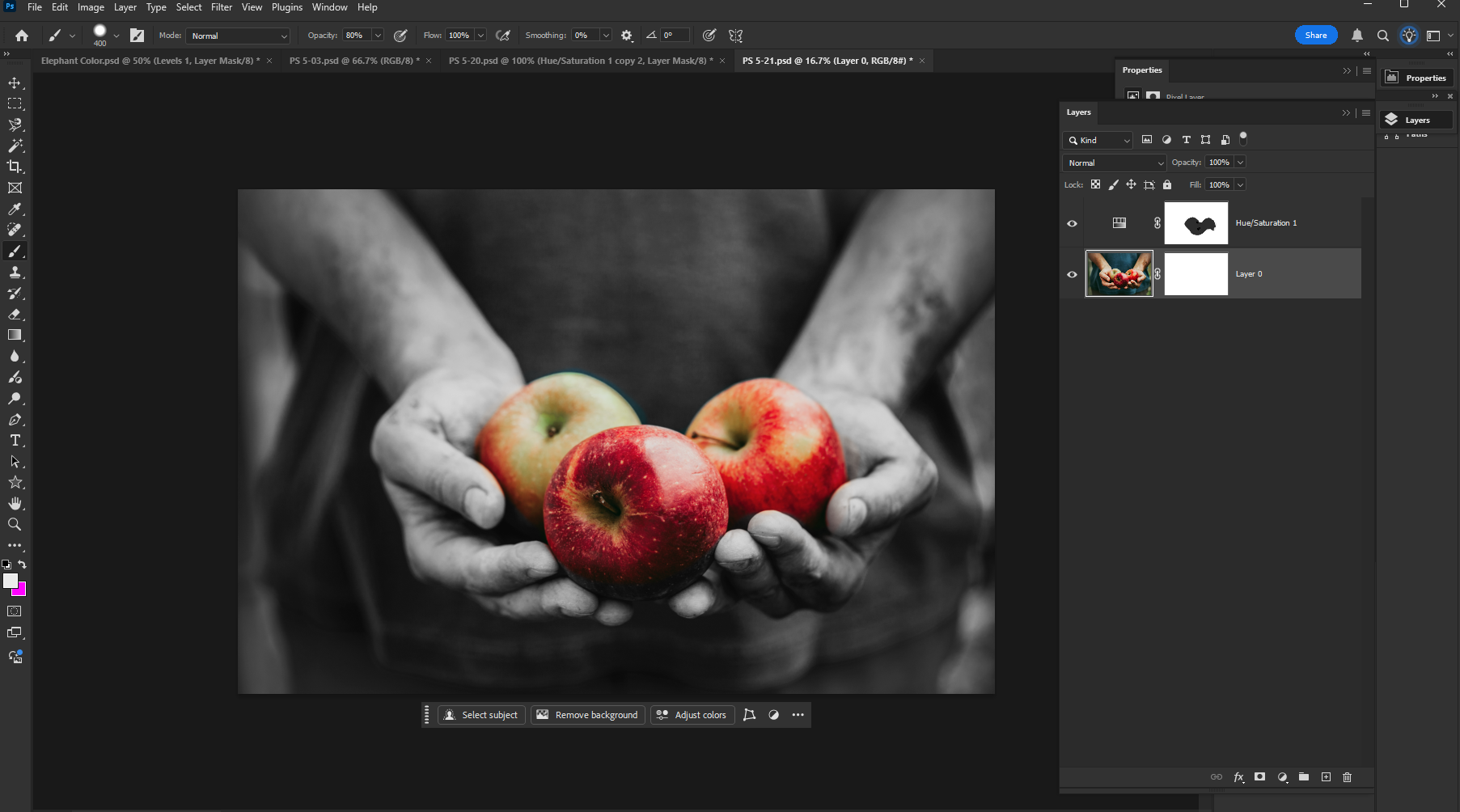 Design Project